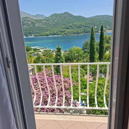Sea View Eva 公寓 斯拉诺